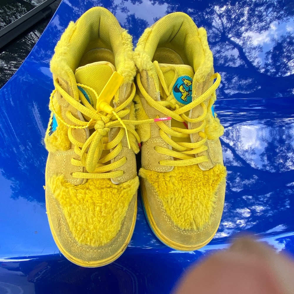 Sb’s dunk worm one